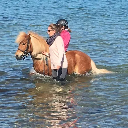 Dom wakacyjny Reetdachhaus 5, Inkl 2 Parkplaetze