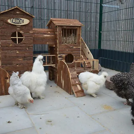 Reetdachhaus 5, Inkl 2 Parkplaetze Dom wakacyjny *