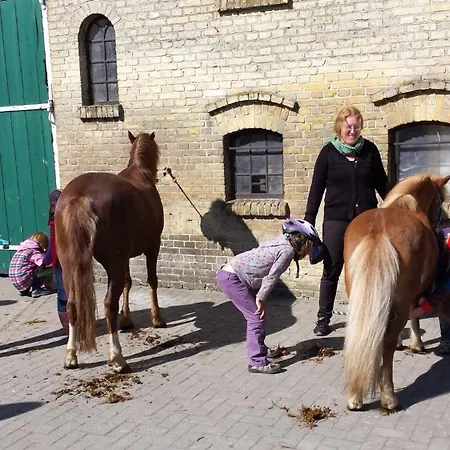 Reetdachhaus 5, Inkl 2 Parkplaetze *