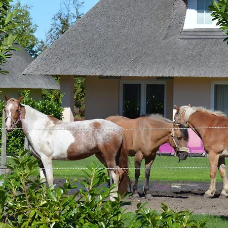Tatil Evi Reetdachhaus 5, Inkl 2 Parkplaetze *