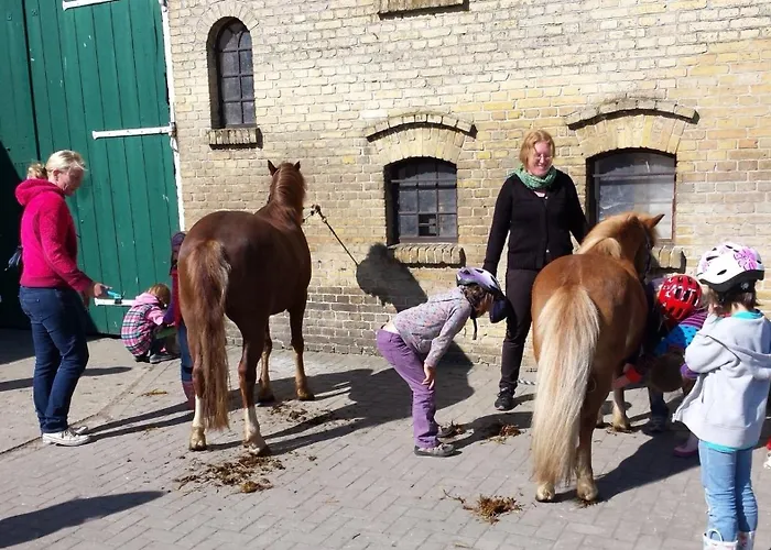 Reetdachhaus 5, Inkl 2 Parkplaetze *