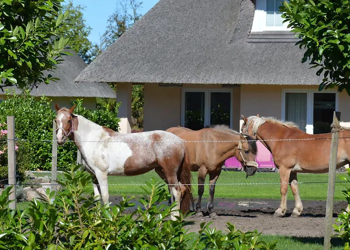 Casa de Férias Reetdachhaus 5, Inkl 2 Parkplaetze *