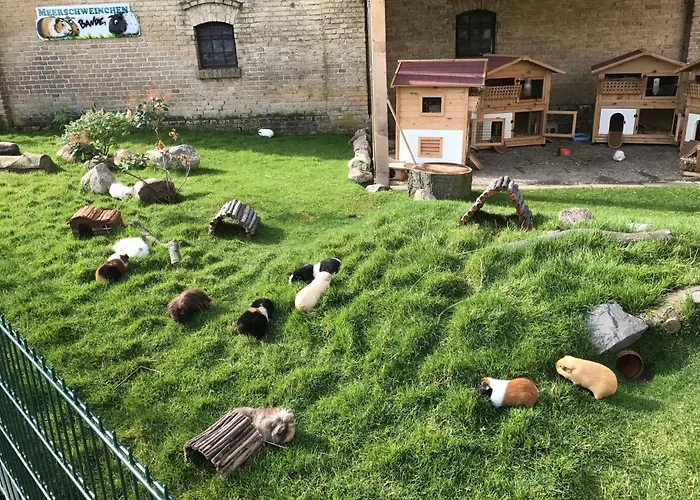 Reetdachhaus 5, Inkl 2 Parkplaetze